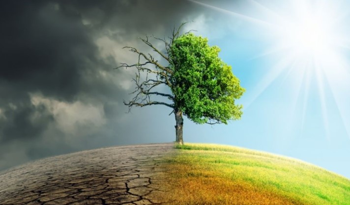 Menggunakan Data Iklim untuk Pengambilan Keputusan Bisnis